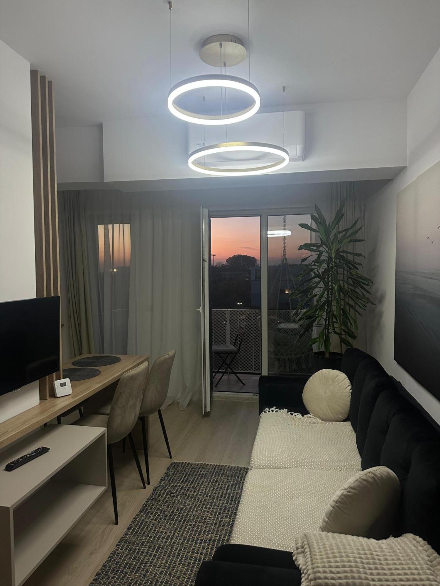 Japanese Studio With Hammock And Sunset View ティミショアラ エクステリア 写真